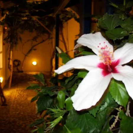 Spyros Santorini Apartment *