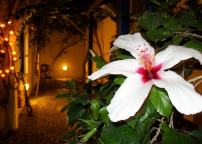 Spyros Santorini Daire *